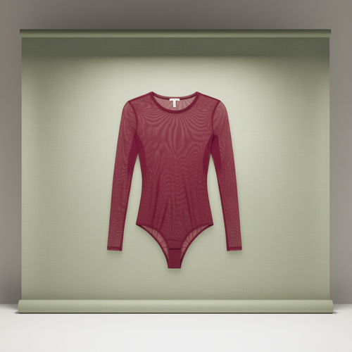 Black Mesh Bodysuit with Long Sleeves