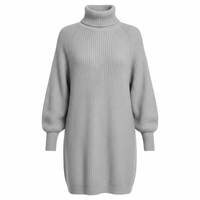 Winter Turtleneck Dress